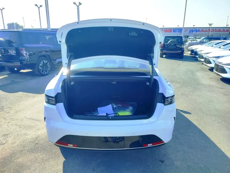 2025 BYD Destroyer 05 4 Cylinders Hybrid Engine White Black Sedan Automatic