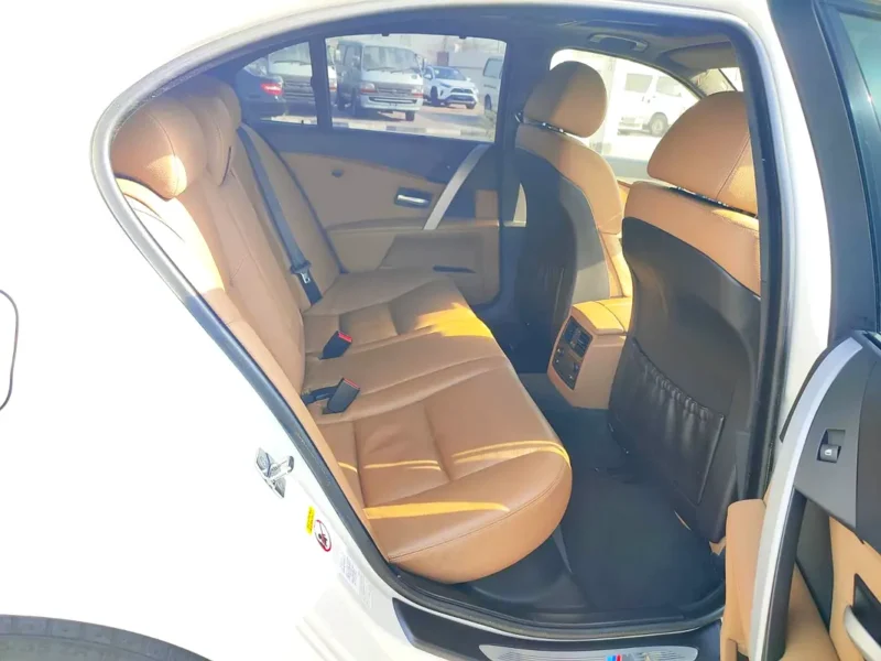 2006 BMW M5 10 Cylinders Petrol Engine White Brown Sedan Japanese Specs