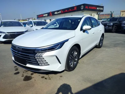 2025 BYD Destroyer 05 4 Cylinders Hybrid Engine White Black Sedan Automatic