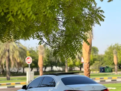 2023 Mercedes-Benz C-Class C300 4Matic 4 Cylinders Petrol Engine White Brown Sedan