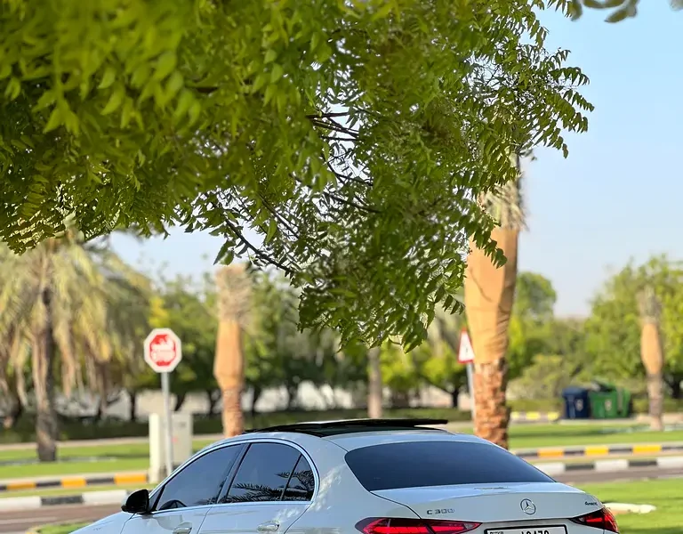 2023 Mercedes-Benz C-Class C300 4Matic 4 Cylinders Petrol Engine White Brown Sedan