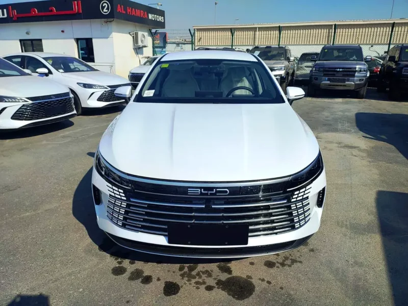 2025 BYD Destroyer 05 4 Cylinders Hybrid Engine White Beige Sedan Automatic