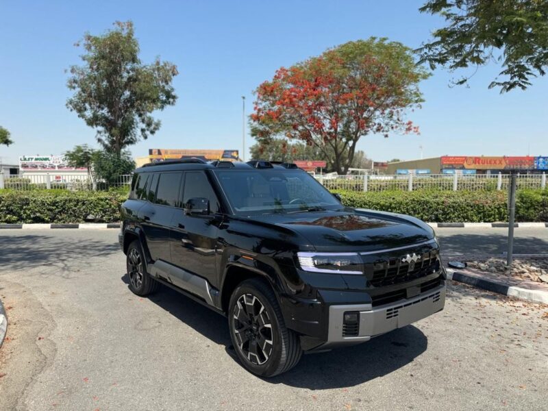 2025 BYD LEOPARD 8 DELUX 2.0 4 Cylinders PHEV Engine Black Tan SUV Chinese Specs