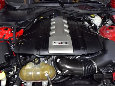 2019 Ford Mustang GT 8 Cylinders Petrol Engine Red Black Coupe American Specs Automatic