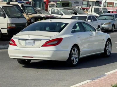 2011 Mercedes-Benz CLS-Class CLS 350 BlueEFFICIENCY 6 Cylinders White Black Sedan