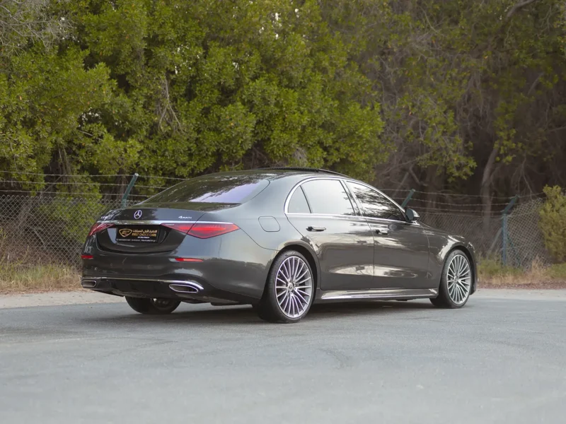 2021 Mercedes-Benz S-Class S 450 4MATIC 3.0L 6 Cylinders Petrol Engine Grey Brown Sedan