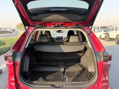 2025 TOYOTA RAV 4 XLE AWD 2.5 Litres V4 Petrol Engine Red Grey SUV American Specs