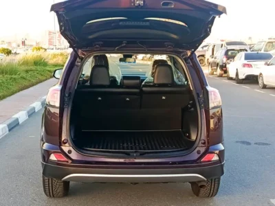 2018 Toyota RAV 4 XLE Premium 4 Cylinders Petrol Engine Burgundy Maroon SUV US Specs