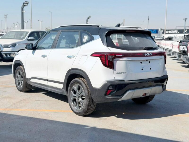 2025 Kia Seltos GLS TOP GL 1.5 Litres 4 Cylinders Diesel Engine White Grey SUV Chinese Specs