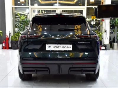 2024 Jetour Dashing 1.6T Luxury 4 Cylinders Engine Green Beige SUV GCC Specs Automatic