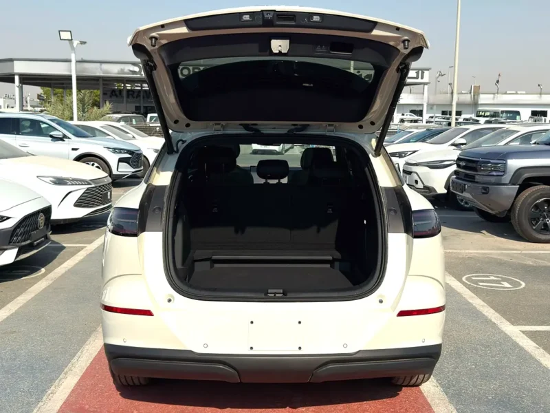 2025 BYD Sealion 6 Premium 1.5 Litres 4 Cylinders Plug-in Hybrid Engine White Black SUV