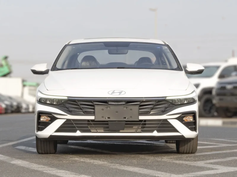 2025 Hyundai Elantra 1.5 L naturally aspirated inline‑4 Engine White Black Sedan Chinese Specs