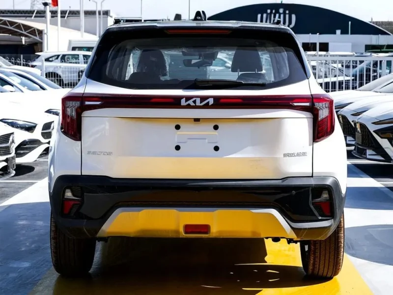 2025 Kia Seltos SX 1.5 Litres 4 Cylinders Petrol Engine White Black SUV Chinese Specs Base Model