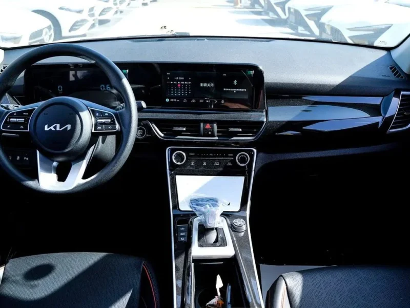 2025 Kia Seltos SX 1.5 Litres 4 Cylinders Petrol Engine White Black SUV Chinese Specs Base Model