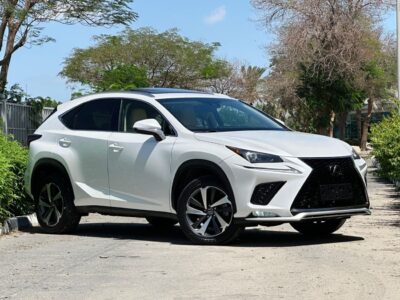 2019 Lexus NX300 F-SPORT 2.0 Litres V4 Petrol Engine White Beige SUV American Specs