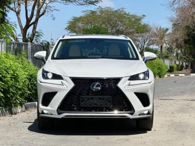 2019 Lexus NX300 F-SPORT 2.0 Litres V4 Petrol Engine White Beige SUV American Specs