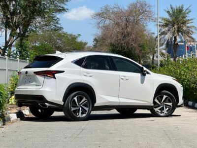 2019 Lexus NX300 F-SPORT 2.0 Litres V4 Petrol Engine White Beige SUV American Specs