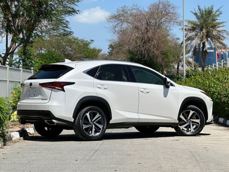 2019 Lexus NX300 F-SPORT 2.0 Litres V4 Petrol Engine White Beige SUV American Specs