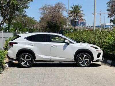 2019 Lexus NX300 F-SPORT 2.0 Litres V4 Petrol Engine White Beige SUV American Specs