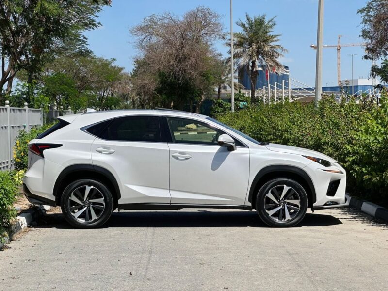 2019 Lexus NX300 F-SPORT 2.0 Litres V4 Petrol Engine White Beige SUV American Specs