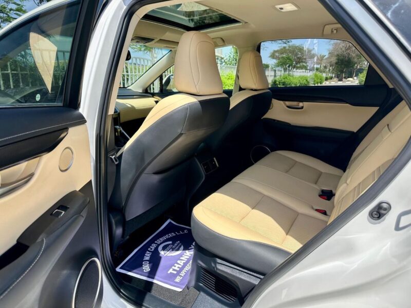 2019 Lexus NX300 F-SPORT 2.0 Litres V4 Petrol Engine White Beige SUV American Specs
