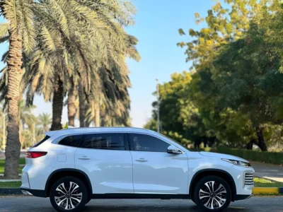 2025 Exeed TXL 290T 4 Cylinders Petrol Engine White Brown SUV GCC Specs Automatic