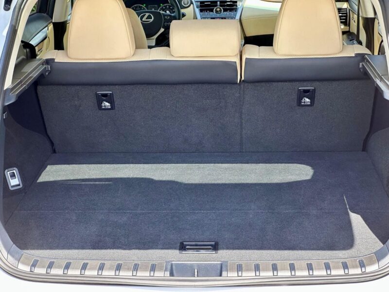 2019 Lexus NX300 F-SPORT 2.0 Litres V4 Petrol Engine White Beige SUV American Specs