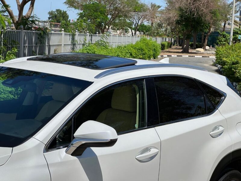 2019 Lexus NX300 F-SPORT 2.0 Litres V4 Petrol Engine White Beige SUV American Specs