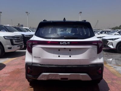 2026 Kia Seltos LX STD 1.6 Litres 4 Cylinders Petrol Engine White Black SUV Chinese Specs
