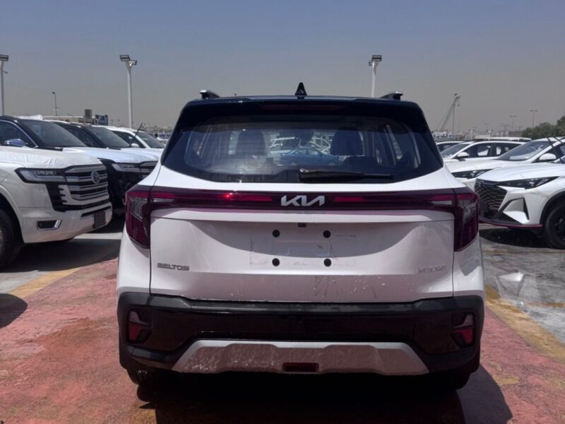2026 Kia Seltos LX STD 1.6 Litres 4 Cylinders Petrol Engine White Black SUV Chinese Specs