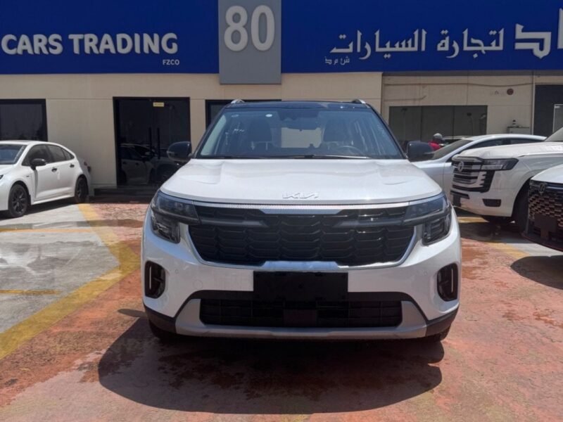 2026 Kia Seltos LX STD 1.6 Litres 4 Cylinders Petrol Engine White Black SUV Chinese Specs