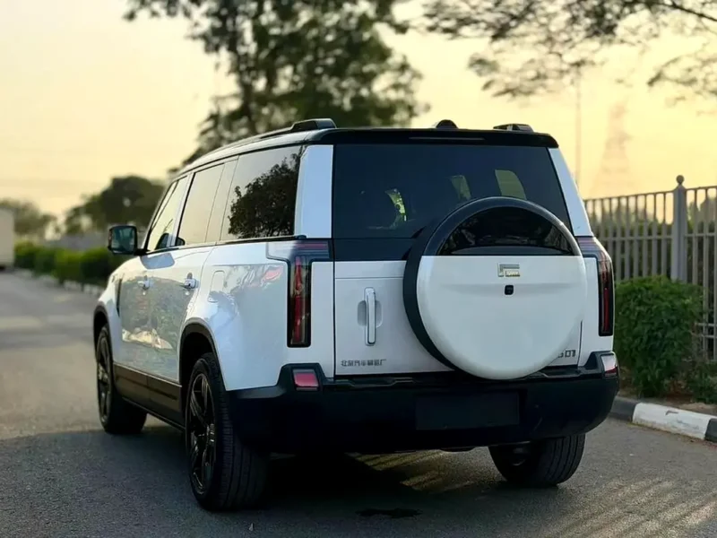 2026 Rox 01 VIP 4 Cylinders Plug-in Hybrid Engine White Orange Luxury 6-Seater SUV Automatic