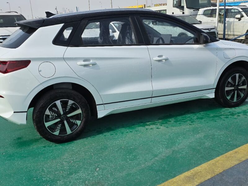 2026 BYD E2 Electric Vehicle 405 km Range White Black Hatchback Automatic