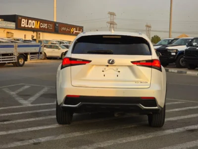 2019 Lexus NX300 Platinum 2.0 Litres 4 Cylinders Petrol Engine White Black SUV American Specs