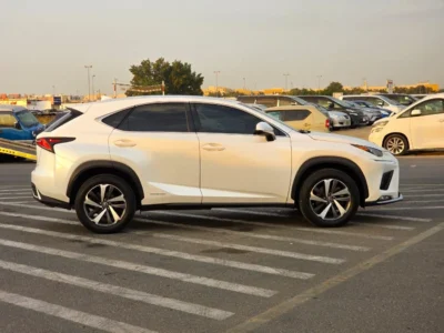 2019 Lexus NX300 Platinum 2.0 Litres 4 Cylinders Petrol Engine White Black SUV American Specs
