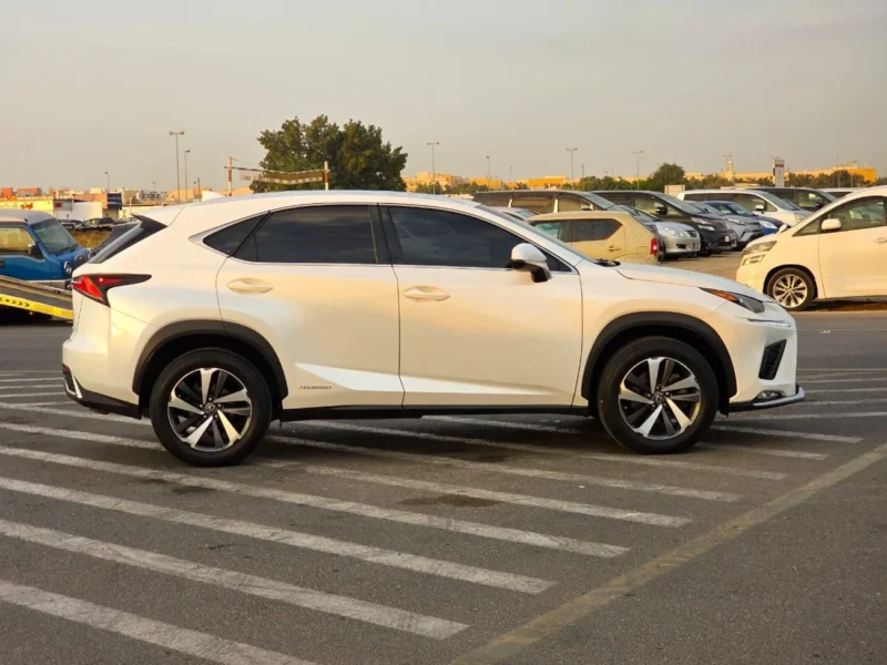 2019 Lexus NX300 Platinum 2.0 Litres 4 Cylinders Petrol Engine White Black SUV American Specs