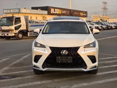 2019 Lexus NX300 Platinum 2.0 Litres 4 Cylinders Petrol Engine White Black SUV American Specs