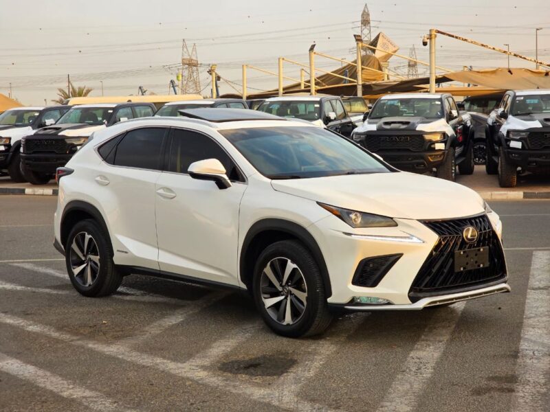 2019 Lexus NX300 Platinum 2.0 Litres 4 Cylinders Petrol Engine White Black SUV American Specs