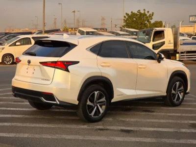 2019 Lexus NX300 Platinum 2.0 Litres 4 Cylinders Petrol Engine White Black SUV American Specs