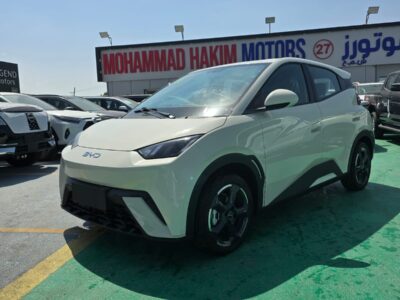 2026 BYD Seagull Beige Blue Compact Urban Electric Hatchback Automatic 405 km (Long Range)