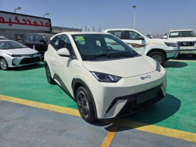 2026 BYD Seagull Beige Blue Compact Urban Electric Hatchback Automatic 405 km (Long Range)