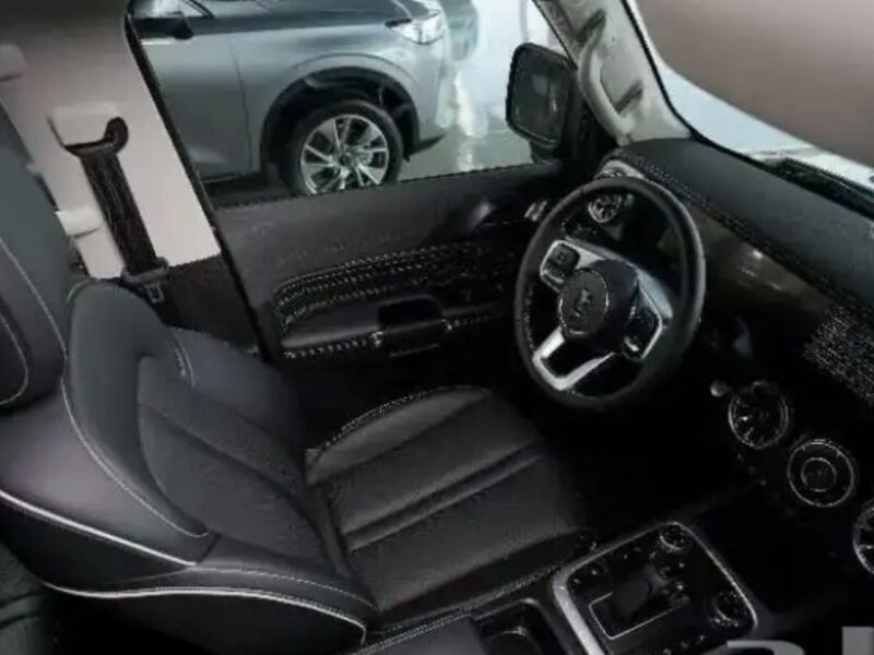 2024 GWM Tank 300 2.0 Litres 4 Cylinders Turbo Petrol Engine Silver Black SUV Automatic GCC