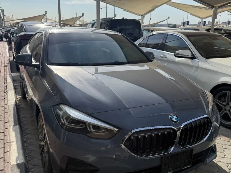 2012 BMW 318i 2.0 Litres 4 Cylinders Petrol Engine Blue Beige Sedan American Specs