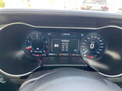 2021 Ford Mustang HIGH PERFOMANCE 2.3-liter turbocharged 4-cylinder Engine White Black Coupe