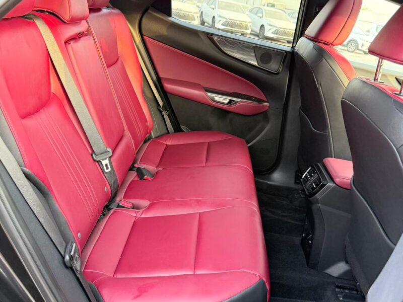 2025 LEXUS NX 350 2.4 Litres V4 Turbo Petrol Engine Black Red SUV American Specs Automatic