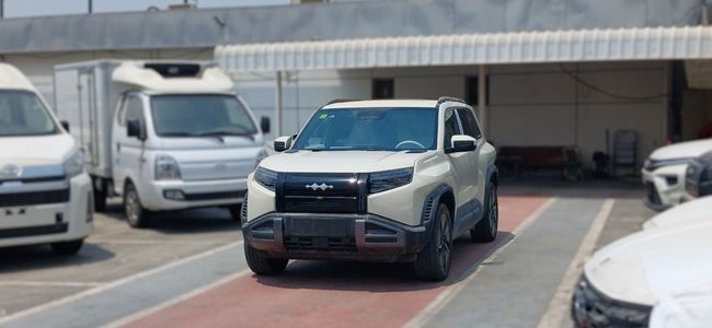 2025 BYD Leopard 3 TITANIUM 501Km Range Electric Vehicle White SUV Chinese Specs