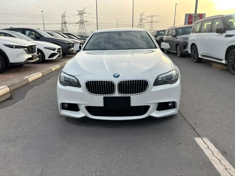 2011 BMW 5-Series 550i 8 Cylinders Petrol Engine White Beige Sedan Japanese Specs