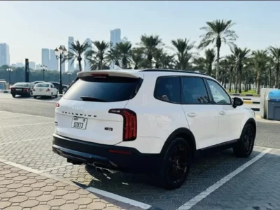 2022 Kia Telluride EX 3.8-liter V6 Petrol Engine White Black SUV American Specs Automatic