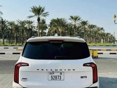 2022 Kia Telluride EX 3.8-liter V6 Petrol Engine White Black SUV American Specs Automatic