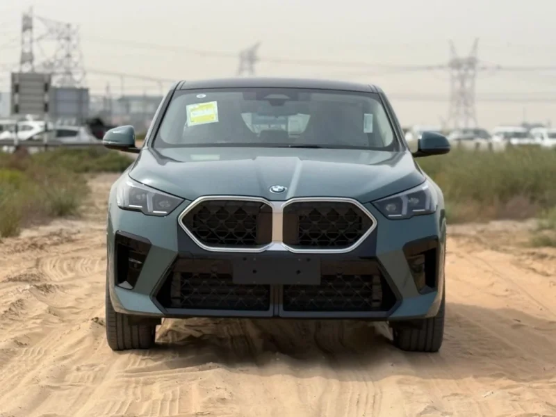 2025 BMW X2 SDRIVE25I M SPORT 2.0L 4 Cylinders Petrol Engine Green Red SUV Chinese Specs